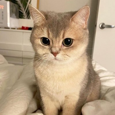 5jixisa's profile picture. 