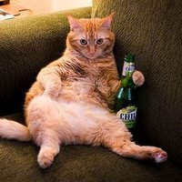 dxvi! (@dxvi1fn) 's Twitter Profile