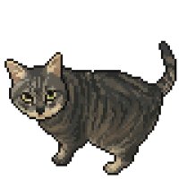 ぴよよ (@nyanyanyaaaaaan) / X