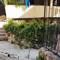 olibber0099 (@olibber00946040) 's Twitter Profile