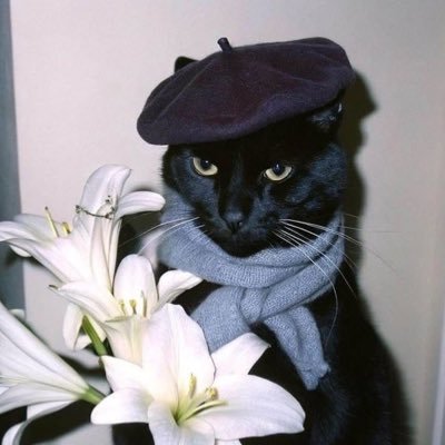 fujoshimarx's profile picture. filled with contradictions