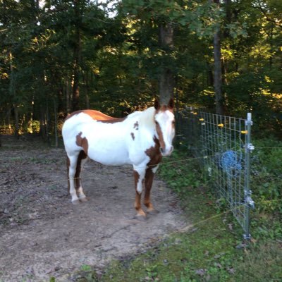 Ann1376557's profile picture. 