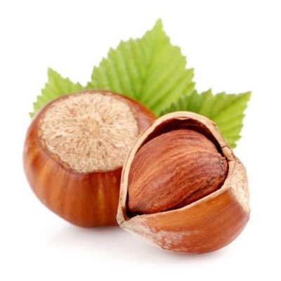 slymngala's profile picture. sade fındıksever vatandaş