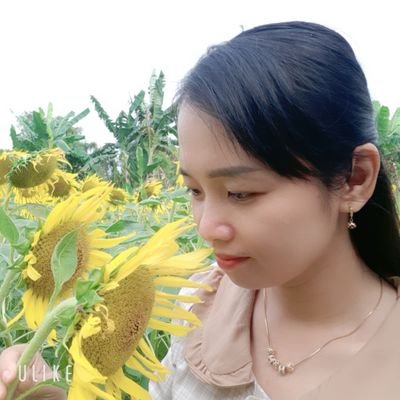ngumai4567's profile picture. 