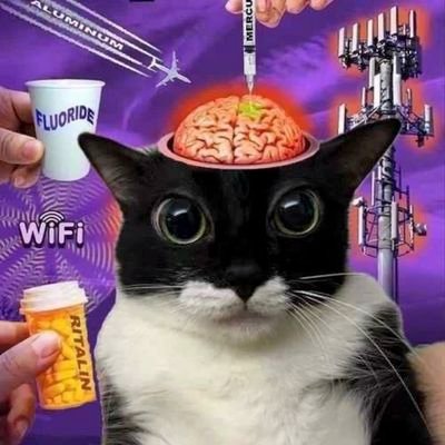 gabiiekkj's profile picture. eyekon & little monster & gamer
