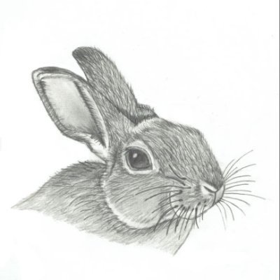 optictrader's profile picture. unbiased,crypto