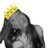 Profile image of Laica