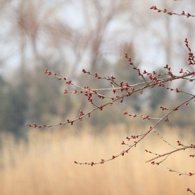 Bokep_jav_Xzvbo's profile picture. 136🚀🔥