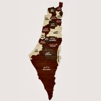 𓂆 🕊️Our liberation is intertwined 🇵🇸 🇾🇪 🇱🇧 🇸🇩 🇨🇩 Reggio Emilia Early Childhood Educator. Children’s rights. #LandBack #SanctionIsrael #StopCopCity