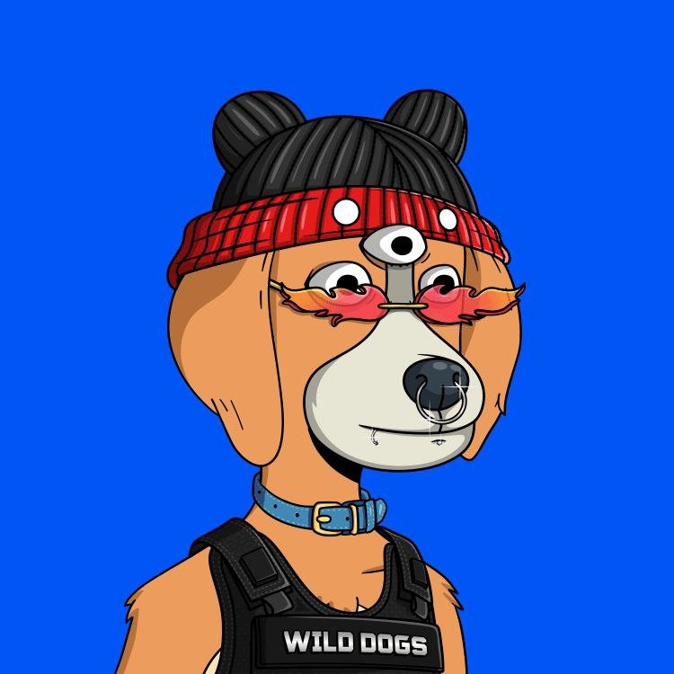 9aila_bnb9's profile picture. Antique Collector. Leading the charge for cryptocurrency literacy ◻️ Gallery hopper. Virtual reality voyager.️