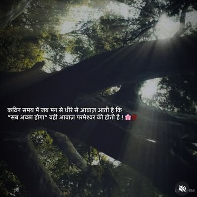 vikash shriwas