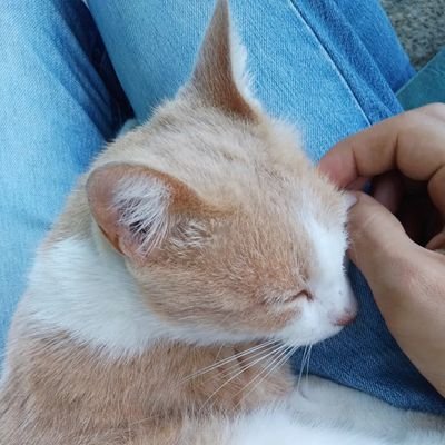 l2gquijada's profile picture. Corrector y redactor✍🏻☝🏻
Arquiartista👨‍🎨👷🏻‍♀️🏗
Fotógrafo📸
Melómano🎶
Justicierx ⚖️
🏳️‍🌈
#Diversxs #Prisma3 #DDHH
Me llaman Quijada
En reconstrucción