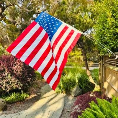 KCCollins13's profile picture. 