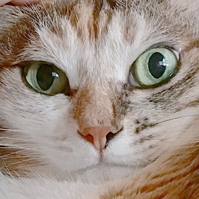 bbbbbbb🕯️🎗️🏳️‍🌈🏳️‍⚧️さんのプロフィール画像