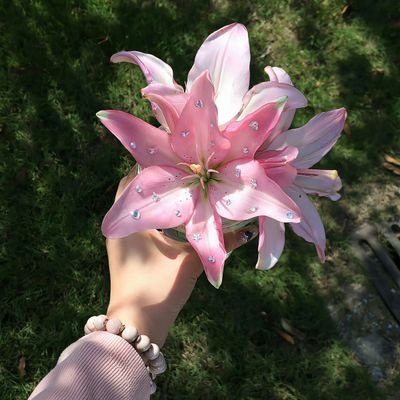 Blooming like flowers, spreading color and joy wherever I go 🌸