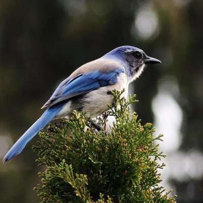 mads196938's profile picture. 