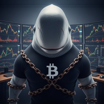 cryptoki_6's profile picture. Trap at Jin Island.