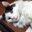 kurea88's profile image