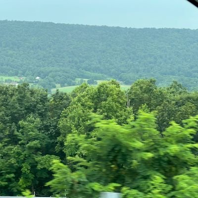 UmerUmi88's profile picture. A Fitness freak ⭐
Keep Grinding ⭐