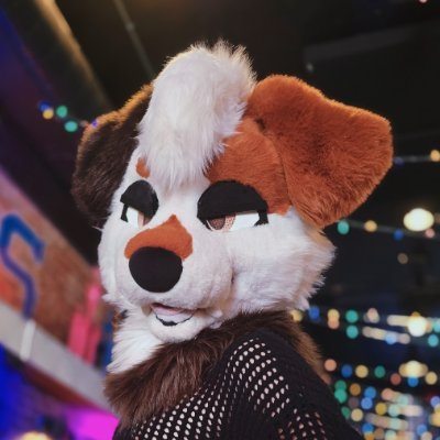 DC - 26 - 18+ - demi - Physics - nurse in training - theatre adult - I run DCFM