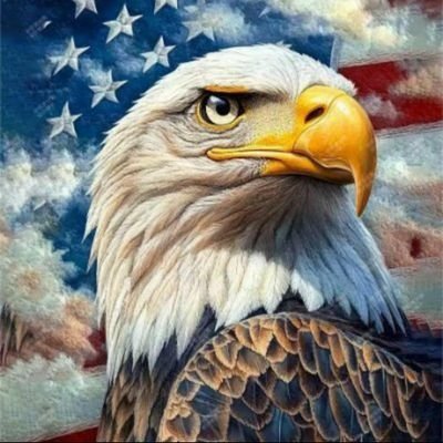 Trump Nation 🇺🇸 America First 💪🏼#MAGA #TRUMP America is BACK 🔥