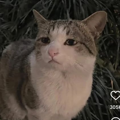 nana1093067's profile picture. 