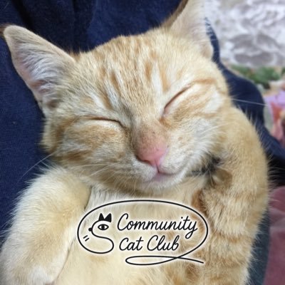 兵庫県の田舎町で人と猫の幸せな共存を目指して、小さな小さな保護猫活動をしています✨
兵庫県西播磨地域から里親募集中です。#保護猫 #里親募集
💬お問い合わせはDMまたはLINEからお願いします。
ブログもぜひご覧ください🐈
https://t.co/FdA2NqlgAW