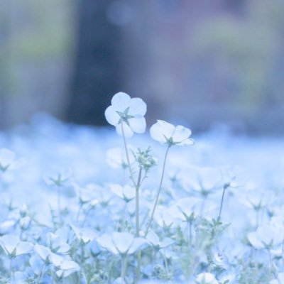 rekia_ia's profile picture. 