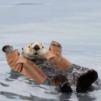 daily AG as otters 🦦 (@otterthony) 's Twitter Profile Photo