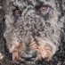 Bob joe (@bobjoe55989) Twitter profile photo Bob joe (@bobjoe55989) Twitter profile photo