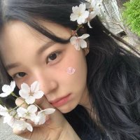 π (@havenbl00ms) 's Twitter Profile