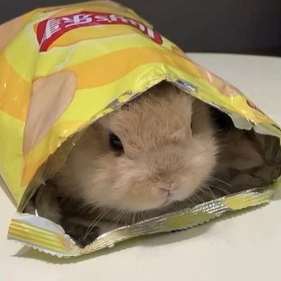 yummyoctopus3's profile picture. | 16 Y/O | artist ✏️| yeah that's all you need to know 🥱 | STAY STRONG AND TREAT EACH OTHER WELL ♡ | NSFW DNI 🔞|