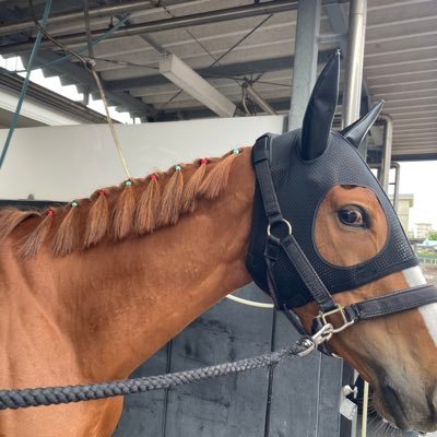 5KJ57rebGB97190's profile picture. よろしくです