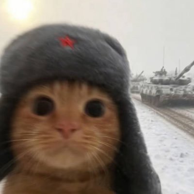 asdasdwdqadsdas's profile picture. 