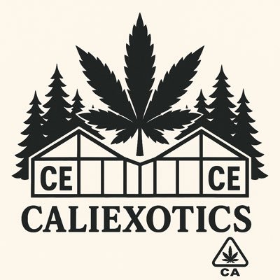 CaliEx0ticz's profile picture. all 50 states 📦✈️