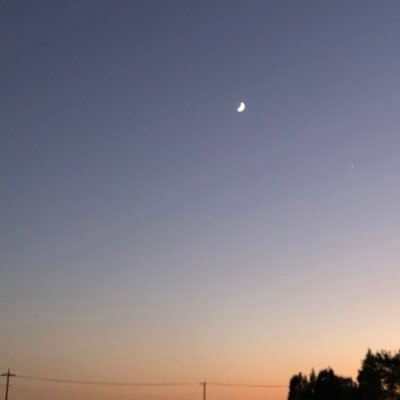 pdtyk_s's profile picture. 成人済