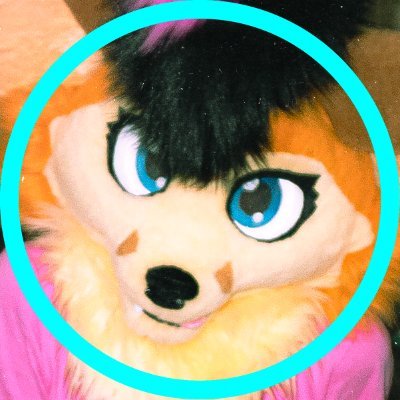 Furry photographer/videographer | @starvingcns fursuiter | Occasional femboy | Muser | 🔞 account