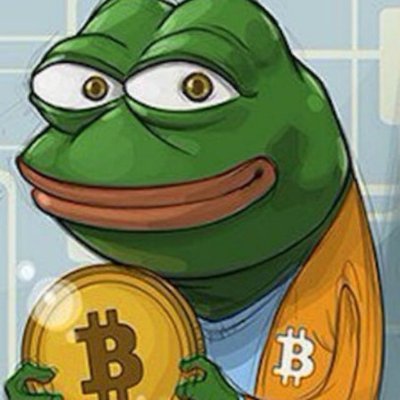 tojunbtc's profile picture. #bitcoin Loopside.