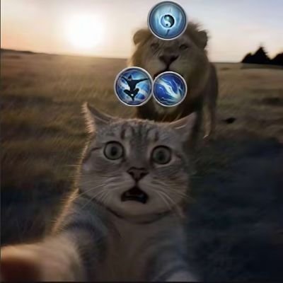 zd230563's profile picture. 我即我 独我 无人再似我