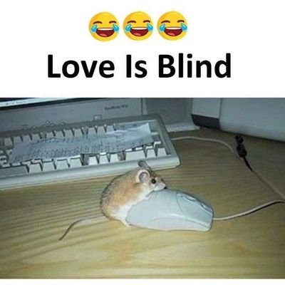 okro00's profile picture. 