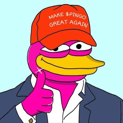 pingoxsolana's profile picture. 