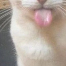 Bnjxxx198473's profile picture. tops dm for trade