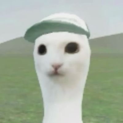 lrl208549's profile picture. 