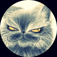 tof@復活しました (@tulse_tof) 's Twitter Profile