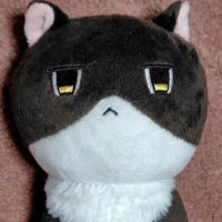 ko (@ukekiku) 's Twitter Profile Photo ko (@ukekiku) 's Twitter Profile Photo