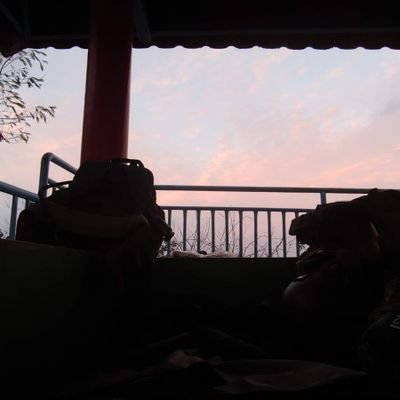 nullpointer2u's profile picture. 