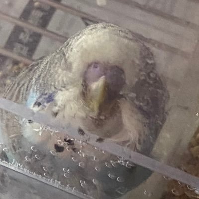 LuLu7324's profile picture. 안녕하세요