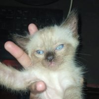 Deuce π³πͺ (@iamgumbanjason) 's Twitter Profile