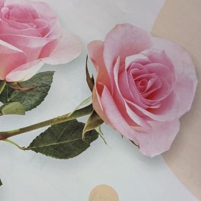 AM9jtzbLVx69457's profile picture. xをはじめました。