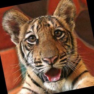 mekanyta's profile picture. 3D animator. Delivering shots for fans. Come software crashes or high water. ✌️